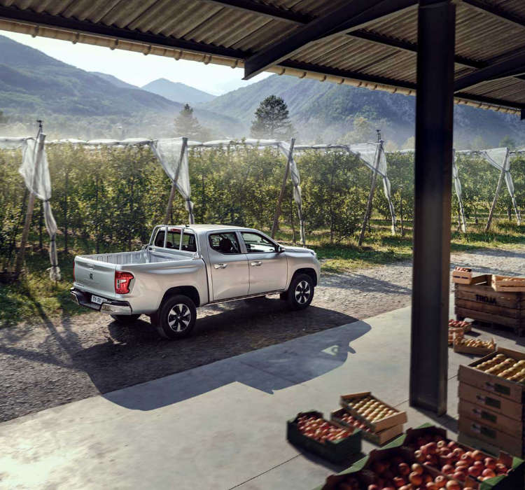 Peugeot Landtrek біля виноградника